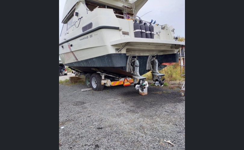 Marino Barracuda Fly-kuva-5